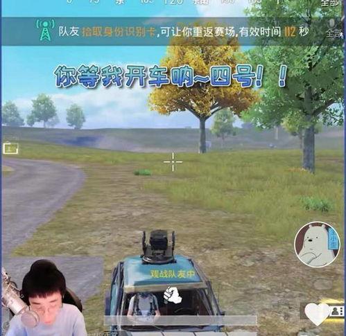 娱乐718.吃瓜王大炮,揭秘吃瓜王大炮的瓜界传奇