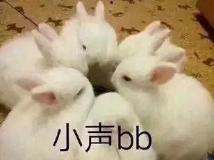 娱乐吃瓜兔,揭秘娱乐圈那些不为人知的幕后故事