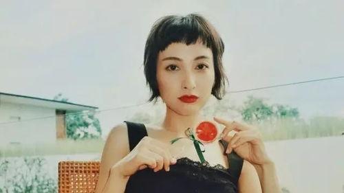 娱乐吃瓜酱姐弟日常,日常甜蜜互动，揭秘娱乐圈温馨日常