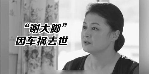 娱乐圈的吃瓜少年,揭秘明星幕后故事