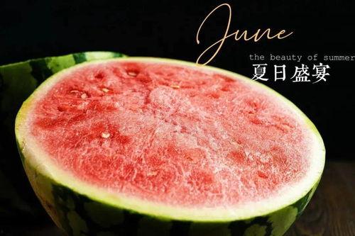 娱乐吃瓜教程,轻松吃瓜教程，让你轻松成为娱乐圈小达人