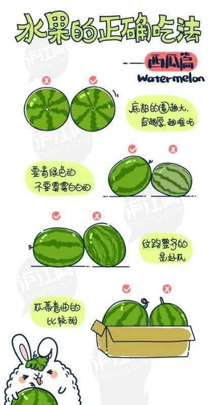 娱乐吃瓜素材在哪找到,吃瓜素材大搜集，带你一探究竟