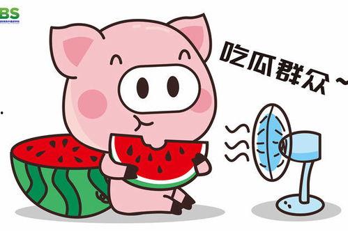 娱乐八卦一定是吃瓜群众的,揭秘“吃瓜群众”的娱乐八卦盛宴
