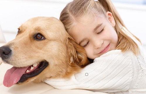 娱乐吃瓜酱小狗