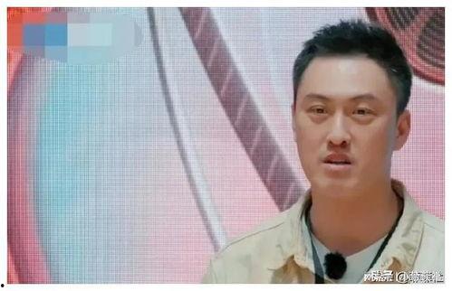 娱乐圈吃瓜爆料谢霆锋